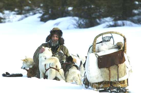 chien-de-traineau-moto-neige-quebec-canada-lac-st-jean