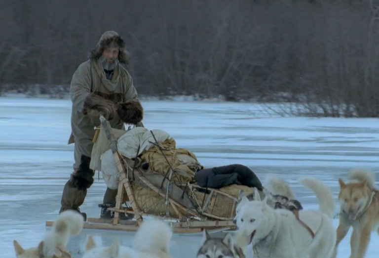 chien-de-traineau-moto-neige-quebec-canada-lac-st-jean