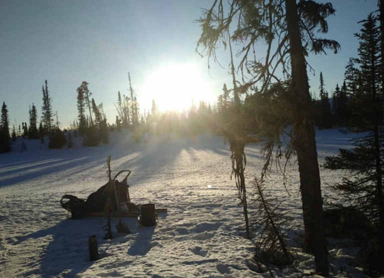 chien-de-traineau-moto-neige-quebec-canada-lac-st-jean