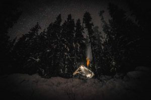 chien-de-traineau-moto-neige-quebec-canada-lac-st-jean