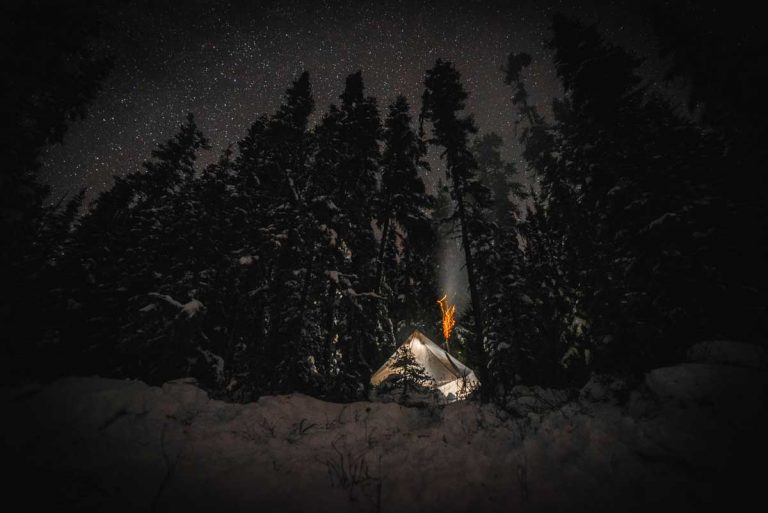 chien-de-traineau-moto-neige-quebec-canada-lac-st-jean