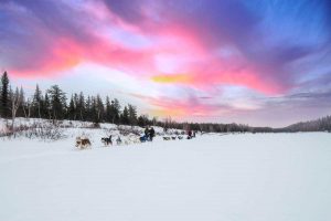 chien-de-traineau-moto-neige-quebec-canada-lac-st-jean