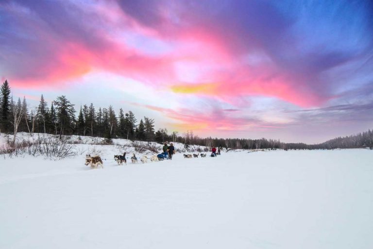 chien-de-traineau-moto-neige-quebec-canada-lac-st-jean