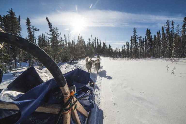 chien-de-traineau-moto-neige-quebec-canada-lac-st-jean