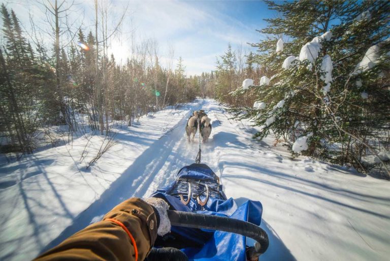 chien-de-traineau-moto-neige-quebec-canada-lac-st-jean