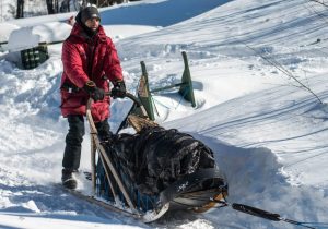 chien-de-traineau-moto-neige-quebec-canada-lac-st-jean