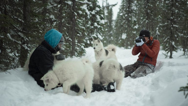 chien-de-traineau-moto-neige-quebec-canada-lac-st-jean