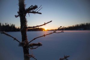 chien-de-traineau-moto-neige-quebec-canada-lac-st-jean