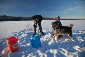 chien-de-traineau-moto-neige-quebec-canada-lac-st-jean