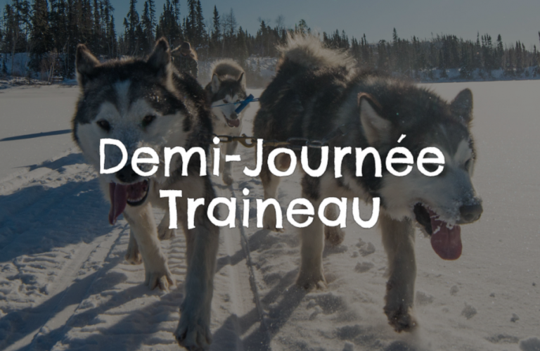 chien-de-traineau-moto-neige-quebec-canada-lac-st-jean